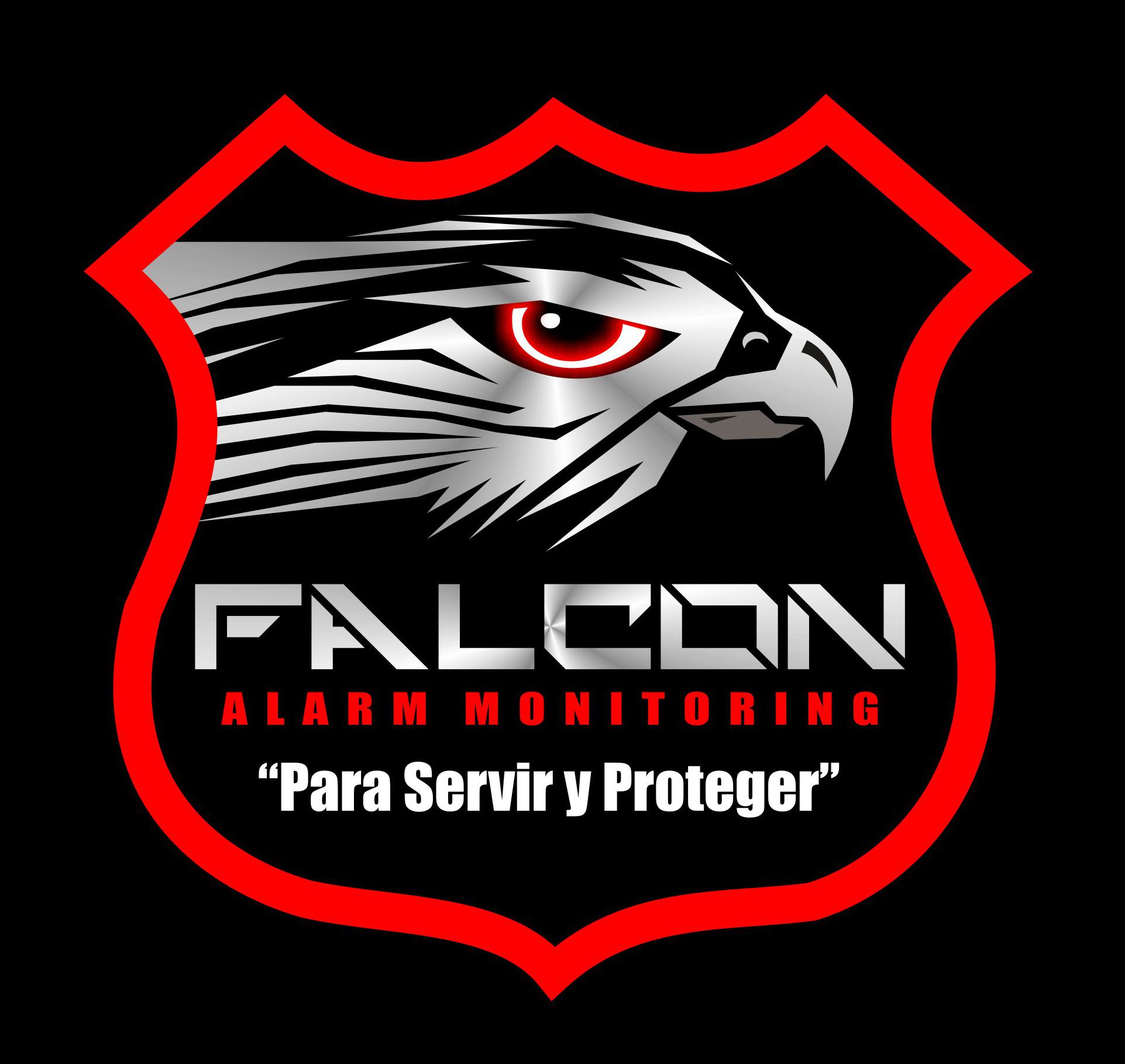 Seguridad Falcon